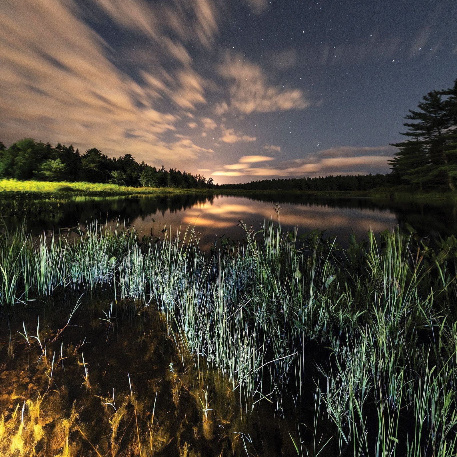 Wetlands photo essay: diversity, beauty and power - DU Canada