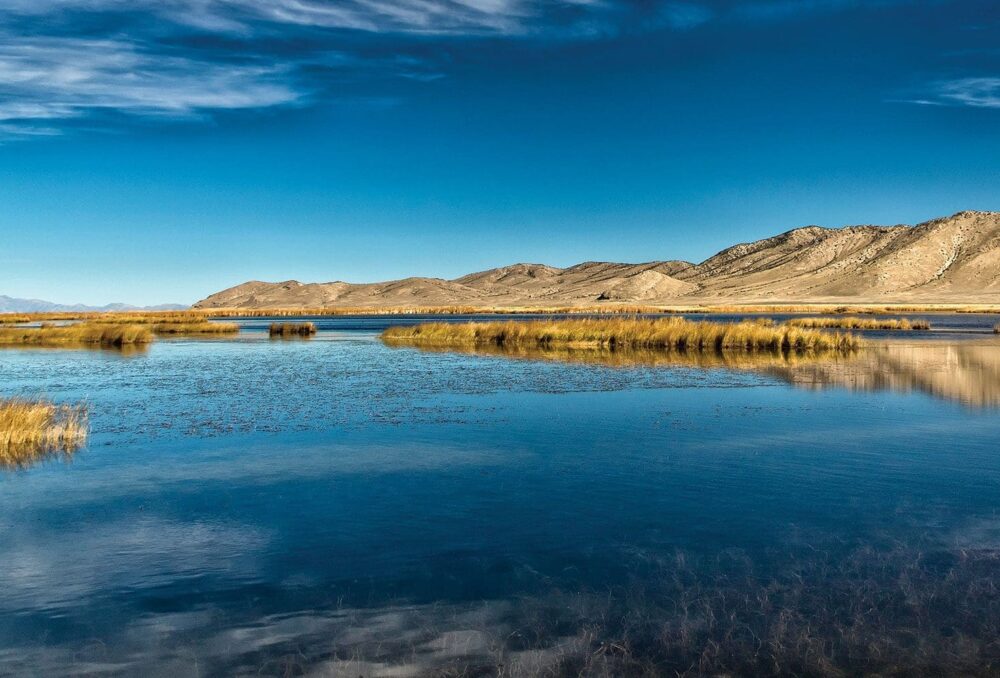 In Nevada—America’s driest state—water is the most precious resource of all. Wetlands like these are a welcome, wet respite for people and waterfowl alike.