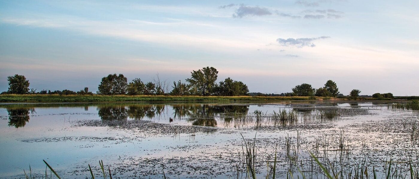 A viewing tower to be built at Ruisseau de Feu will provide a 360-degree view of the site, including this main wetland, restored by DUC and its partners.