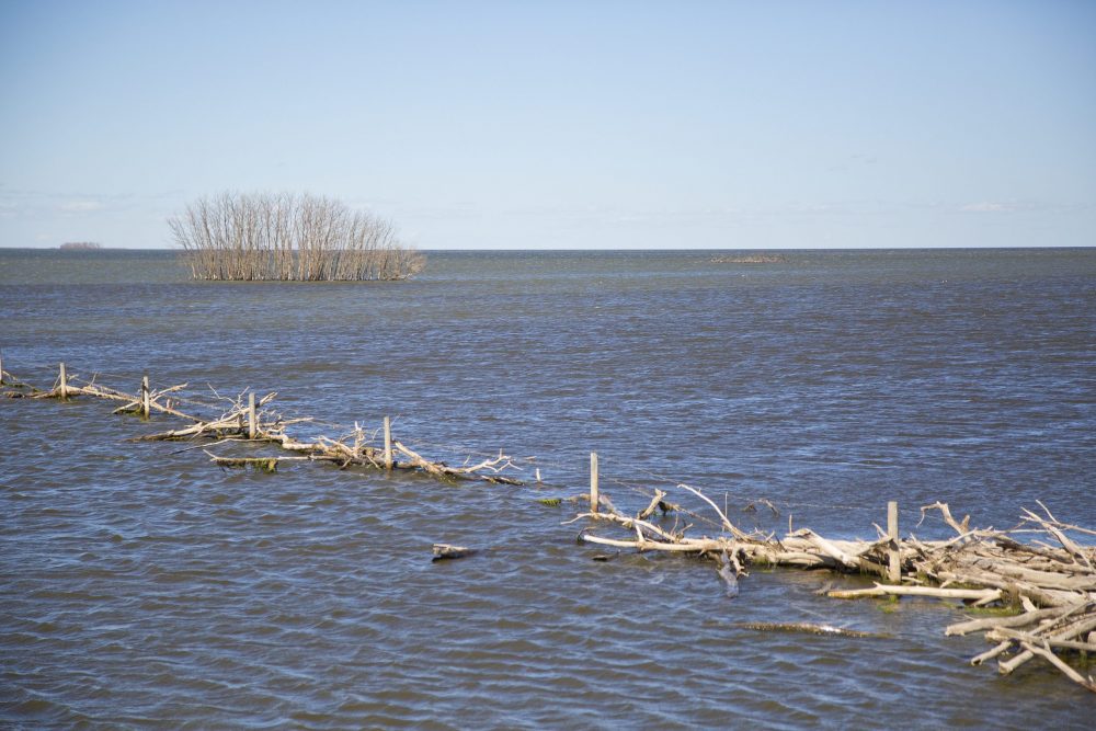 Flooding of land near the Quill Lakes.