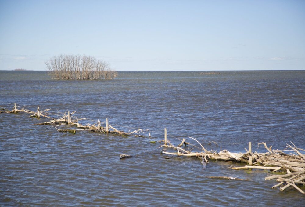 Flooding of land near the Quill Lakes.