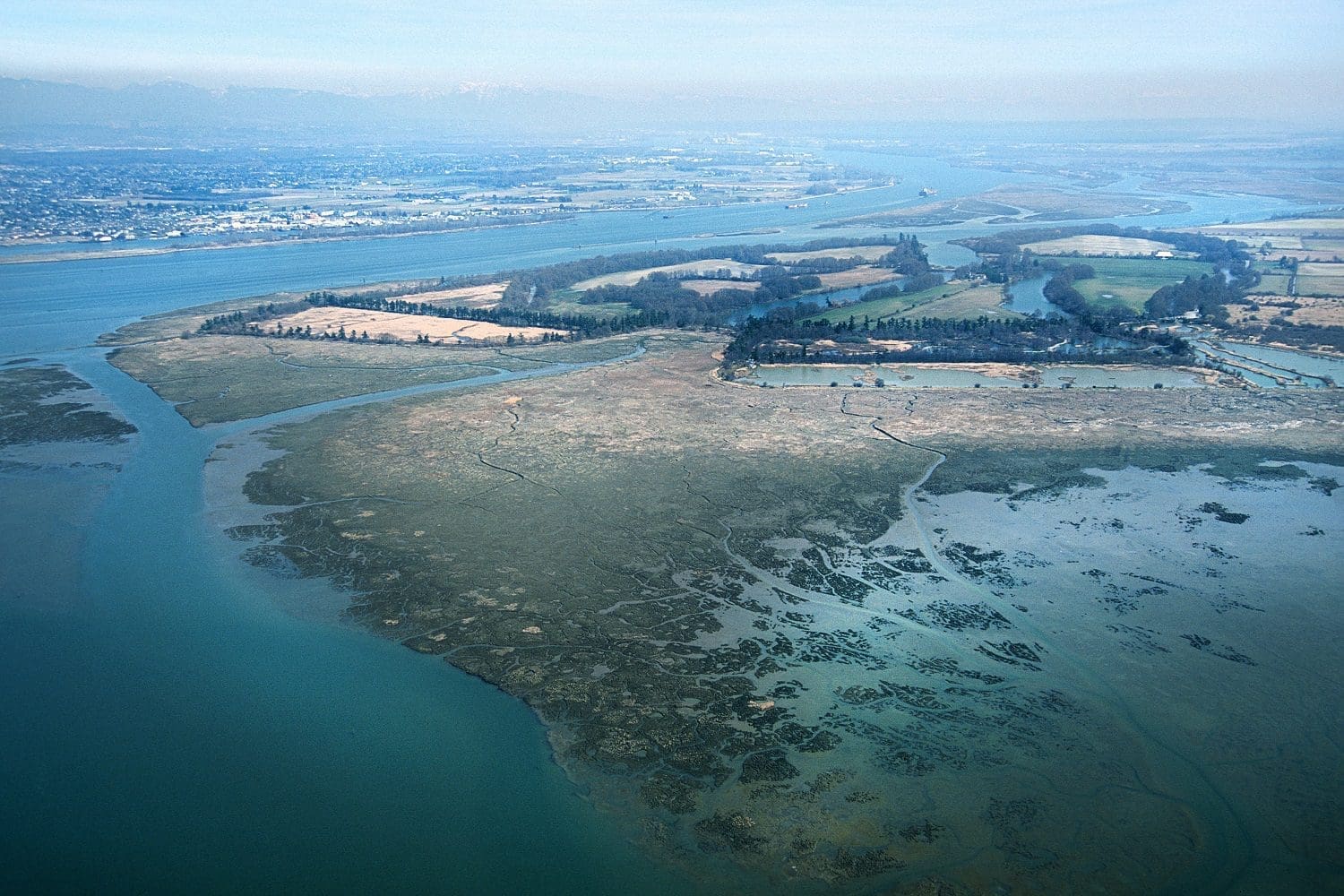 Westham Island, Alaksen NWA and George Reifel Wildlife Sanctuary