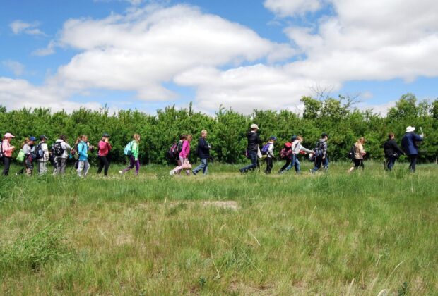 Explore Wetlands in Saskatchewan