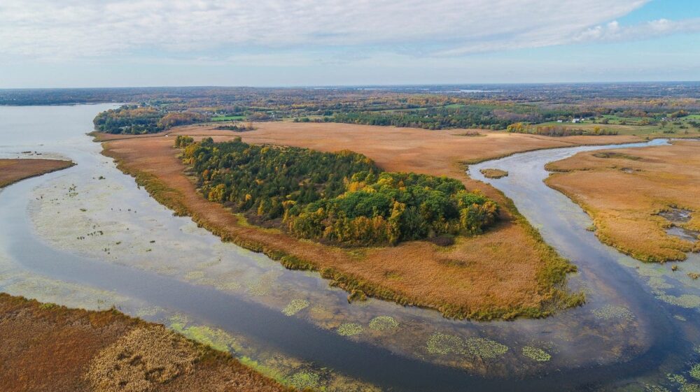 Clark Island coastal wetland on Lake Ontario.