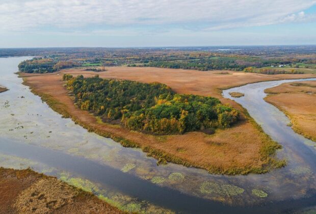 Wetland restoration at Clark Island will create new fish habitat connected to Lake Ontario