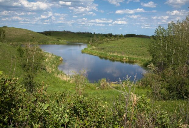 Fueling conservation on the Prairies