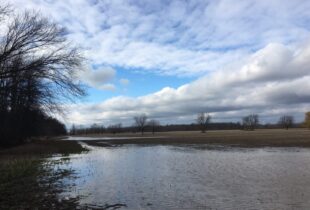 Ducks Unlimited Canada breaks ground on expanded wildlife habitat at James N. Allan Provincial Park