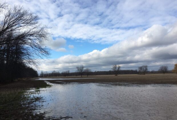 Ducks Unlimited Canada breaks ground on expanded wildlife habitat at James N. Allan Provincial Park