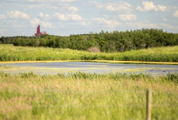 Pembina Pipeline Corporation launches new partnership with Ducks Unlimited Canada