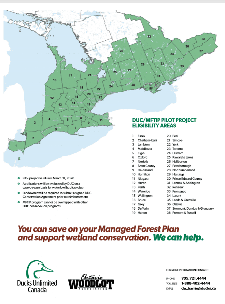 The Managed Forest Tax Incentive Program and your wetland — Ducks
