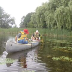 How we faced down an invasive plant that threatened the Rideau River