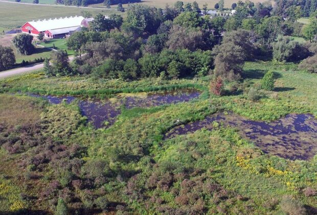 Family’s natural legacy lives on at Norwich Township farm