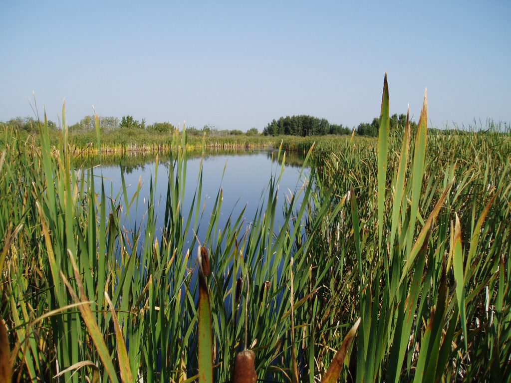 Natural Heritage Conservation Program provides new protection for