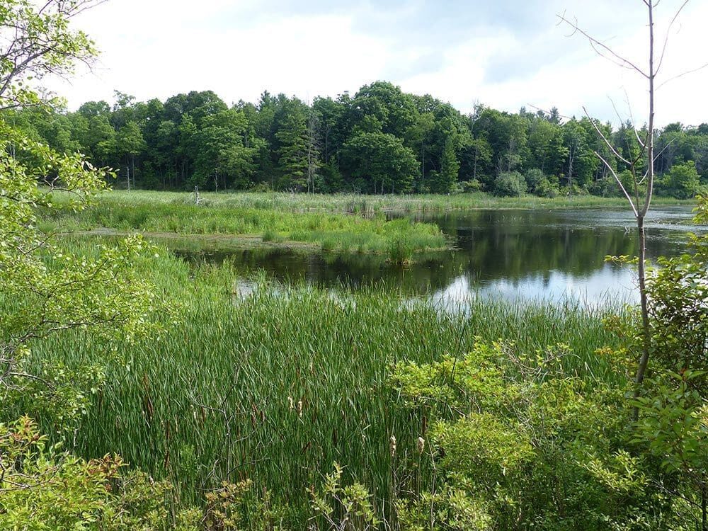 Great news for the Great Lakes