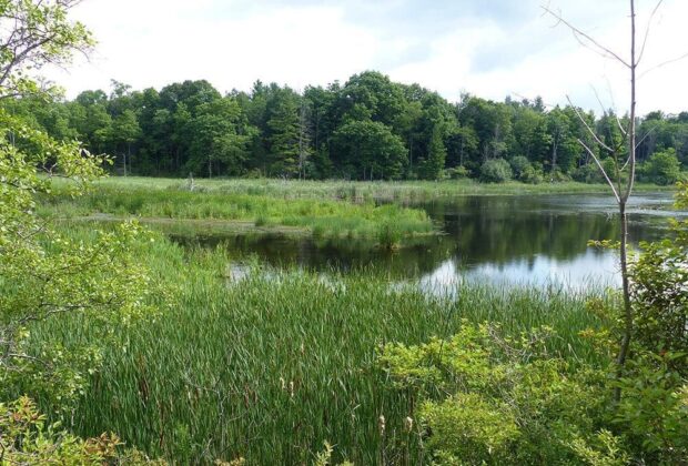 Great news for the Great Lakes