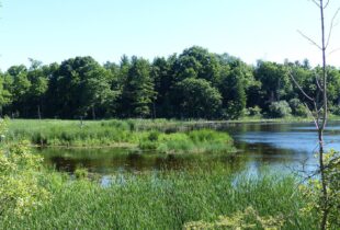 Ducks Unlimited Canada Salutes Four Decades of Conservation in Middlesex County