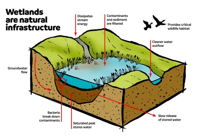 Restored wetlands and uplands can address an array of environmental challenges.