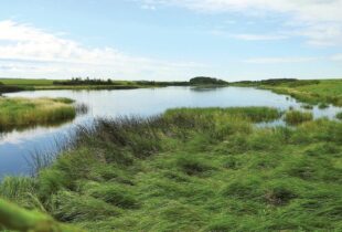Hunting and Trapping on Ducks Unlimited Canada Lands in Saskatchewan