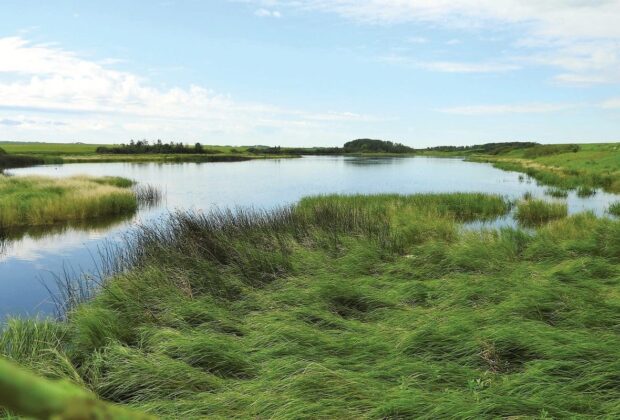 Hunting and Trapping on Ducks Unlimited Canada Lands in Saskatchewan