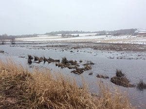 Aqua Terra Wetland Upper Stewiacke NS