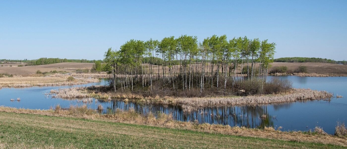 Western Manitoba wetland