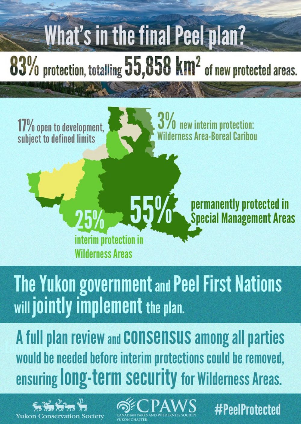 What's in the Final Peel Plan infographic