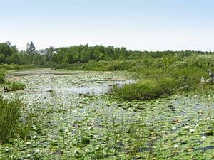 Bruce County, ON