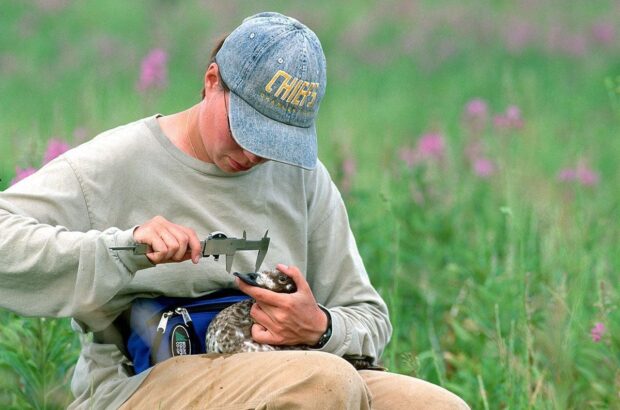 Student research in the field