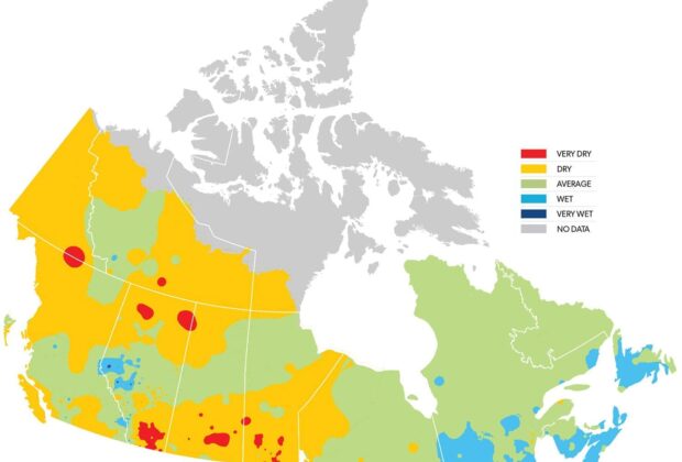 Habitat Report Summer 2019