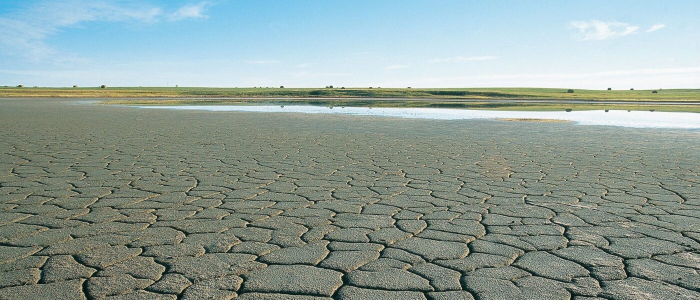 Western Manitoba wetland