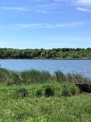 Ducks Unlimited Canada Celebrates Habitat Secured on Howe Island