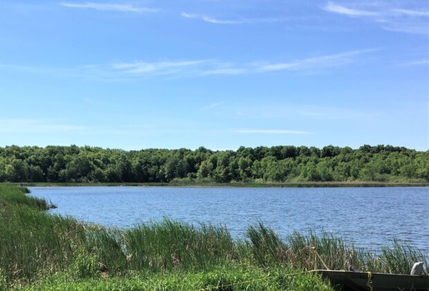 Ducks Unlimited Canada Celebrates Habitat Secured on Howe Island