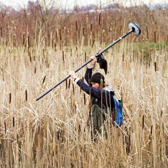 DUC conservation program specialist Megan Winand wades through a patch of invasive cattail on Frenchies Island in the South Arm Marshes of the Fraser River Estuary. 
