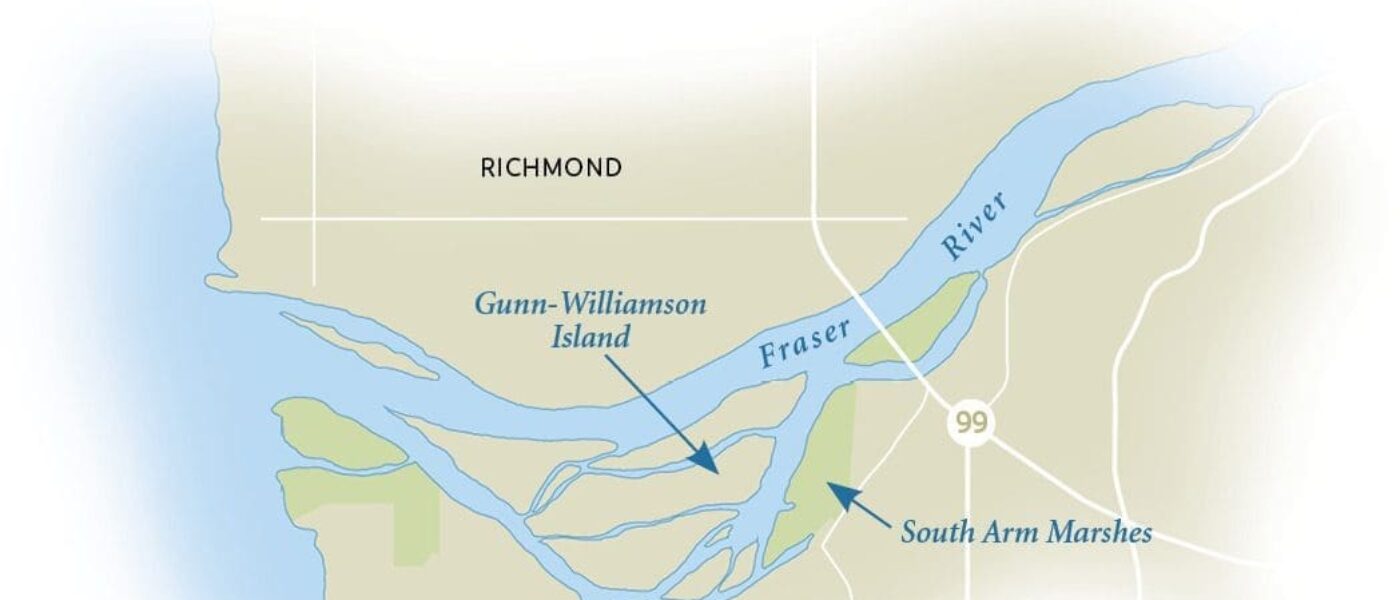 The heart of the Fraser River Estuary is home to the largest producer of salmon on the entire Pacific coast.