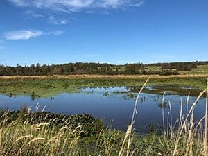 Aqua Terra Kennels project