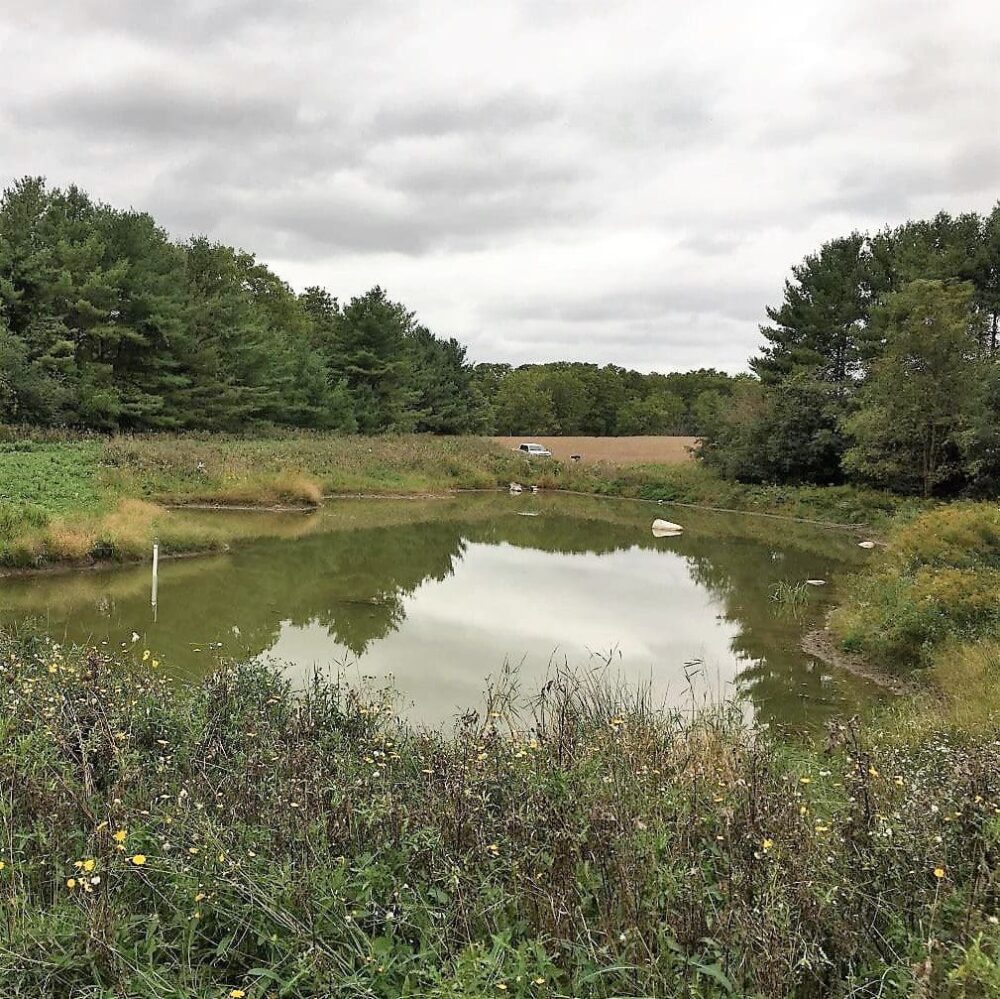 One of eight wetland study sites in the water quality research project in the Lake Erie watershed.