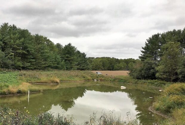 Ducks Unlimited Canada Completes First Year of Phosphorus Research in the Lake Erie Watershed