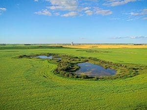 Shoal Lake landscape