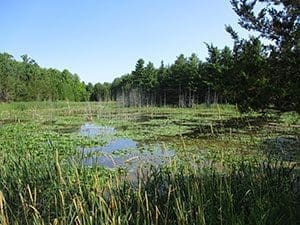 South-central landscape