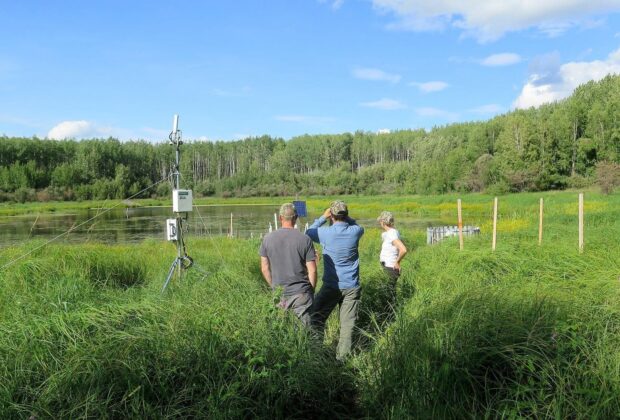 Ducks Unlimited Canada and USask partner to advance wetland and waterfowl conservation in Canada