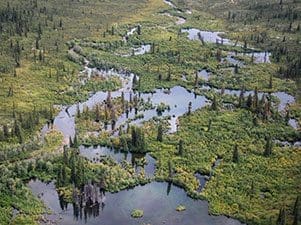 boreal wetland complex