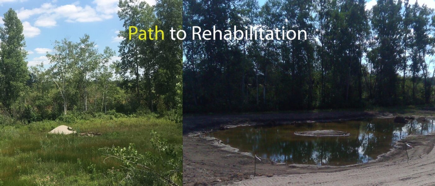 2018-2020: The first step at Wise Pit was to remove the invasive plant, phragmites, before the new wetland could be constructed on the site.