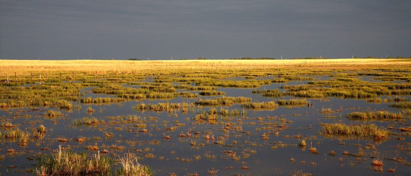 Flooded Alberta field