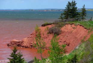 Rising Up: Saving Prince Edward Island from the threat of sea-level rise