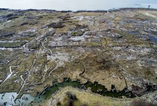 Partnership stems the tide of sea-level rise on the Fraser River Delta