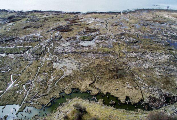 Partnership stems the tide of sea-level rise on the Fraser River Delta