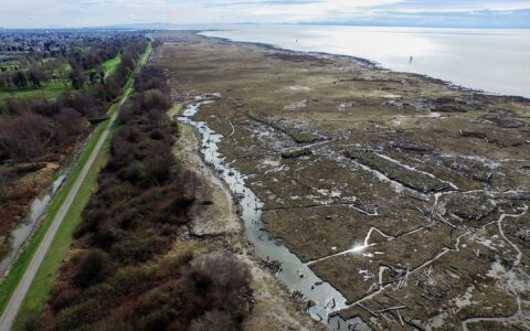 Rising sea levels raise concerns on Canada’s coasts