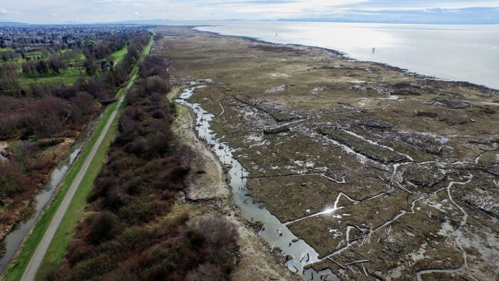 Using a natural, green infrastructure solution to protect habitats for waterfowl, wildlife and people