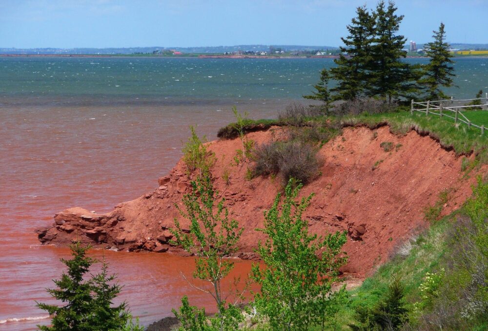 In Canada’s smallest province, DUC restores a salt marsh to slow erosion caused by rising seas 