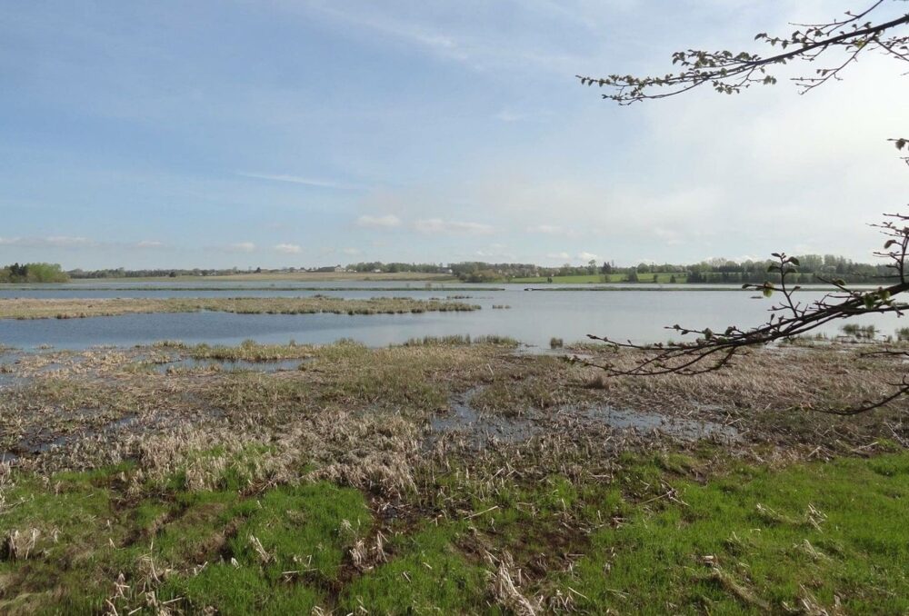 Fullerton Marsh